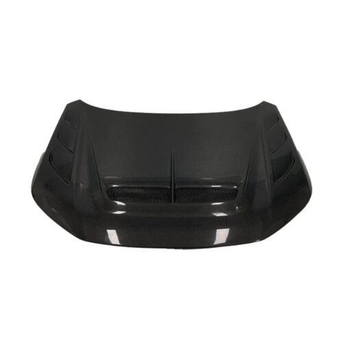 Honda Civic FL5 Type R Carbon Fiber Vented Cooling Front Bumper Hood Bonnet