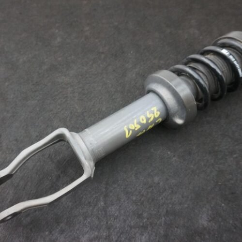 Front Left Right Shock Absorber Spring Coil Strut 4S0412019AA Audi R8 4S 2018-23