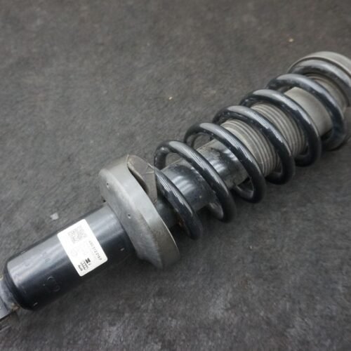 Rear Left Right Shock Absorber Spring Coil Strut OEM 4S0512019P Audi R8 4S 18-23